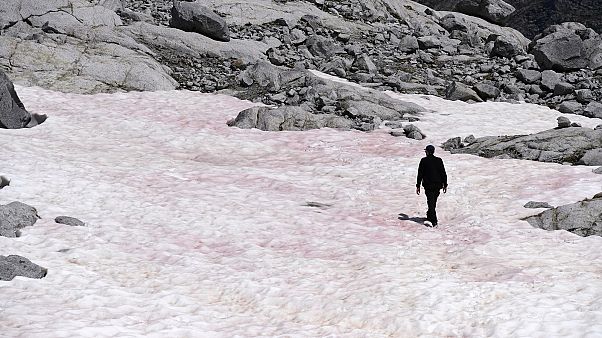 Le glacier Presena, en Italie, le 4 juillet 2020 Le glacier Presena, en Italie, le 4 juillet 2020