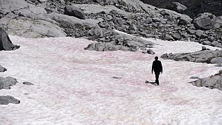 Clima: ¿Por qué ha aparecido 'nieve de sangre' en los Alpes italianos?