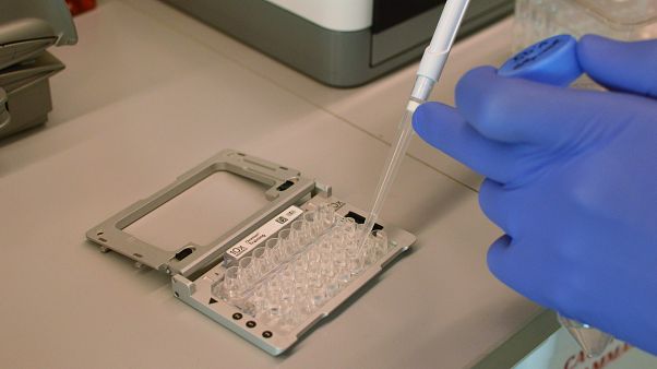 Лаборатория по исследованию генома в Нью-Йорке Лаборатория по исследованию генома в Нью-Йорке