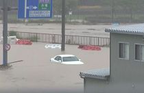 Japonya'nın güneyinde sel felaketi: 40 kişi hayatını kaybetti
