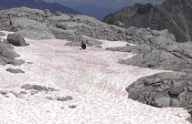پدیدار شدن یخ صورتی در کوه‌های آلپ؛ دانشمندان در حال بررسی هستند