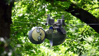 Robot sloth hangs from trees to spy on endangered animals