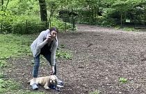 ABD'nin New York kentinde köpeğini gezdirirken tartıştığı siyahi kuş gözlemcisini 'kendisini tehdit ettiği iddiasıyla polisi arayan Amy Cooper hakkında dava açıldı