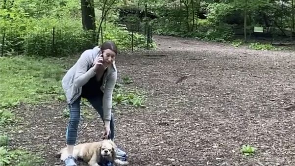 ABD'nin New York kentinde köpeğini gezdirirken tartıştığı siyahi kuş gözlemcisini 'kendisini tehdit ettiği iddiasıyla polisi arayan Amy Cooper hakkında dava açıldı ABD'nin New York kentinde köpeğini gezdirirken tartıştığı siyahi kuş gözlemcisini 'kendisini tehdit ettiği iddiasıyla polisi arayan Amy Cooper hakkında dava açıldı