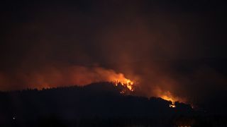 Çanakkale'nin Gelibolu ilçesinde çıkan orman yangını söndürme çalışmaları sürüyor