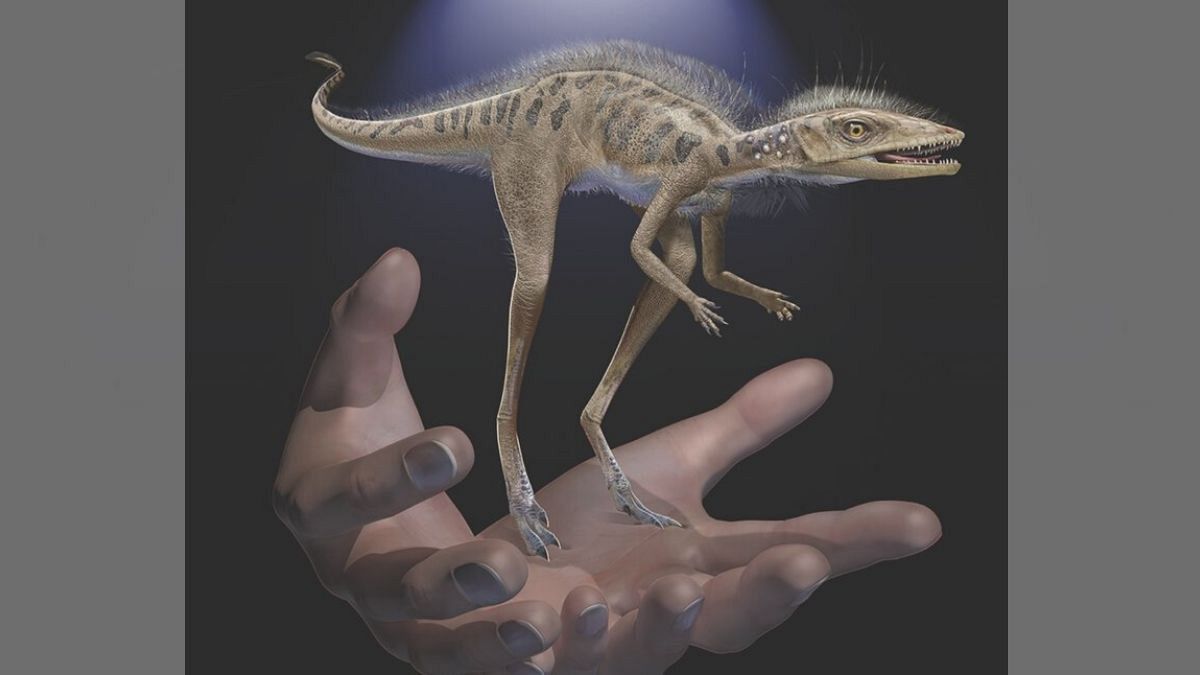 رمزگشایی محققان از فسیل دایناسوری کوچکتر از گوشی تلفن همراه