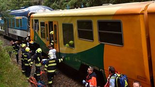 Emergency services at the scene after the two trains collided near the village of Pernink, Czech Republic.