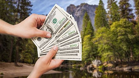 Environmental conservation pays.
