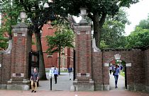 هاروارد و ام‌آی‌تی به دلیل لغو ویزای دانشجویان خارجی از دولت آمریکا شکایت کردند