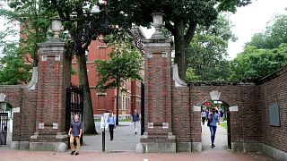هاروارد و ام‌آی‌تی به دلیل لغو ویزای دانشجویان خارجی از دولت آمریکا شکایت کردند