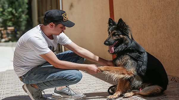 الشاب الفلسطيني أسامة الدحدوح يلعب مع كلبه ستيف في مدينة غزة الشاب الفلسطيني أسامة الدحدوح يلعب مع كلبه ستيف في مدينة غزة
