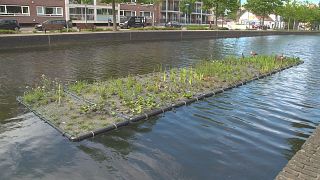 Eindhoven, la smart city che torna alla natura per migliorare la qualità della vita