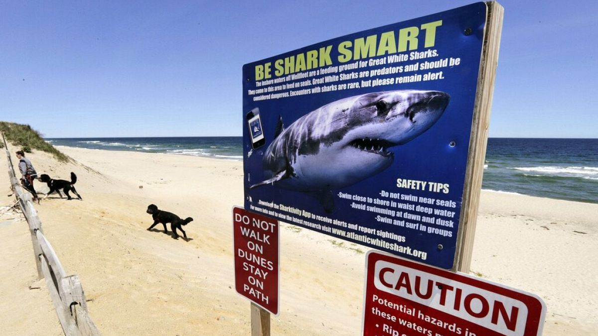 Αυστραλία: 17χρονος σέρφερ σκοτώθηκε από επίθεση καρχαρία 