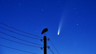 Una cicogna su una linea elettrica mentre la cometa Neowise passa nel cielo sopra Kreva, in Bielorussia