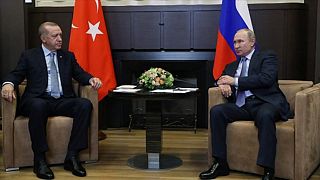 Erdoğan - Putin