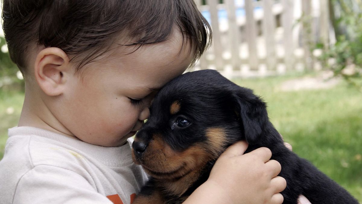 Köpekli ailede büyüyen çocuklar daha kolay sosyalleşiyor | Araştırma
