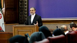 غلامحسین اسماعیلی، سخنگوی قوه قضائیه ایران
