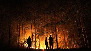 Rusya'da orman yangını / ARŞİV