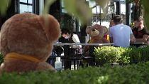 شاهد: دمى الدببة لفرض قواعد التباعد الاجتماعي في مطعم بكوسوفو