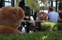 شاهد: دمى الدببة لفرض قواعد التباعد الاجتماعي في مطعم بكوسوفو 