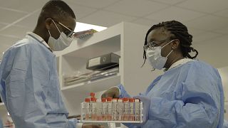 Japan and Ghana step up their long-term collaboration in fighting disease in West Africa