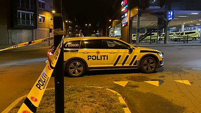 Une femme décède dans une attaque au couteau en Norvège