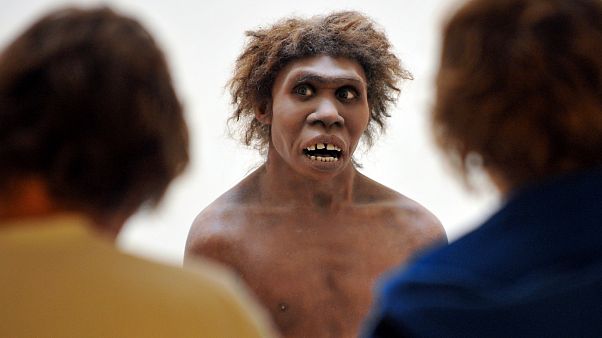 Neandertaler, Archivbild Neandertaler, Archivbild