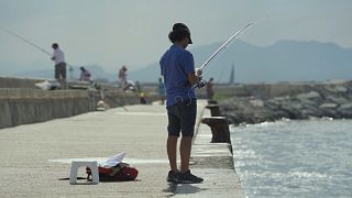 ЕС примирит рыболовов-любителей и профи