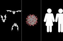 بالفيديو.. كيف تحول فيروس داخل خفاش إلى وباء فتاك يحصد أرواح مئات الالاف حول العالم
