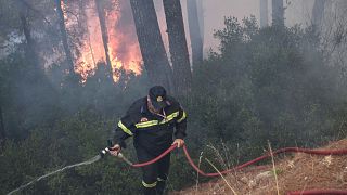 Πυρκαγιές σε Λαύριο και Αταλάντη