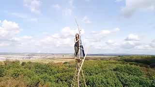 The activists occupy ancient forests to stop coal mining companies from cutting down the trees. 