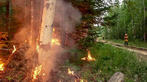 Des pompiers sur le site d'un incendie près de Iakoutsk en Russie le 15 juillet 2020 Des pompiers sur le site d'un incendie près de Iakoutsk en Russie le 15 juillet 2020