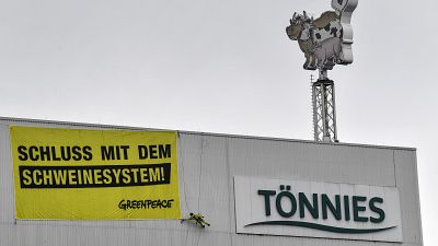 "Schweinesystem" mit 8.000 Schlachtungen: Greenpeace steigt Tönnies aufs Dach