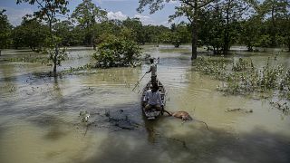 Güney Asya'da sel ve heyelanlarda ölü sayısı 221'e yükseldi
