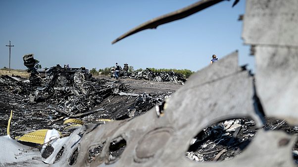 A part of the Malaysia Airlines Flight MH17 at the crash site in the village of Hrabove (Grabovo), some 80km east of Donetsk A part of the Malaysia Airlines Flight MH17 at the crash site in the village of Hrabove (Grabovo), some 80km east of Donetsk