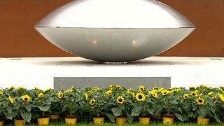 В Нидерландах почтили память жертв крушения "Боинга", сбитого над Донбассом