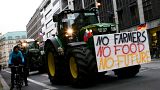 Farmers with tractors arrive for a protest against the German and European agriculture policy in Berlin, Nov. 26, 2019.