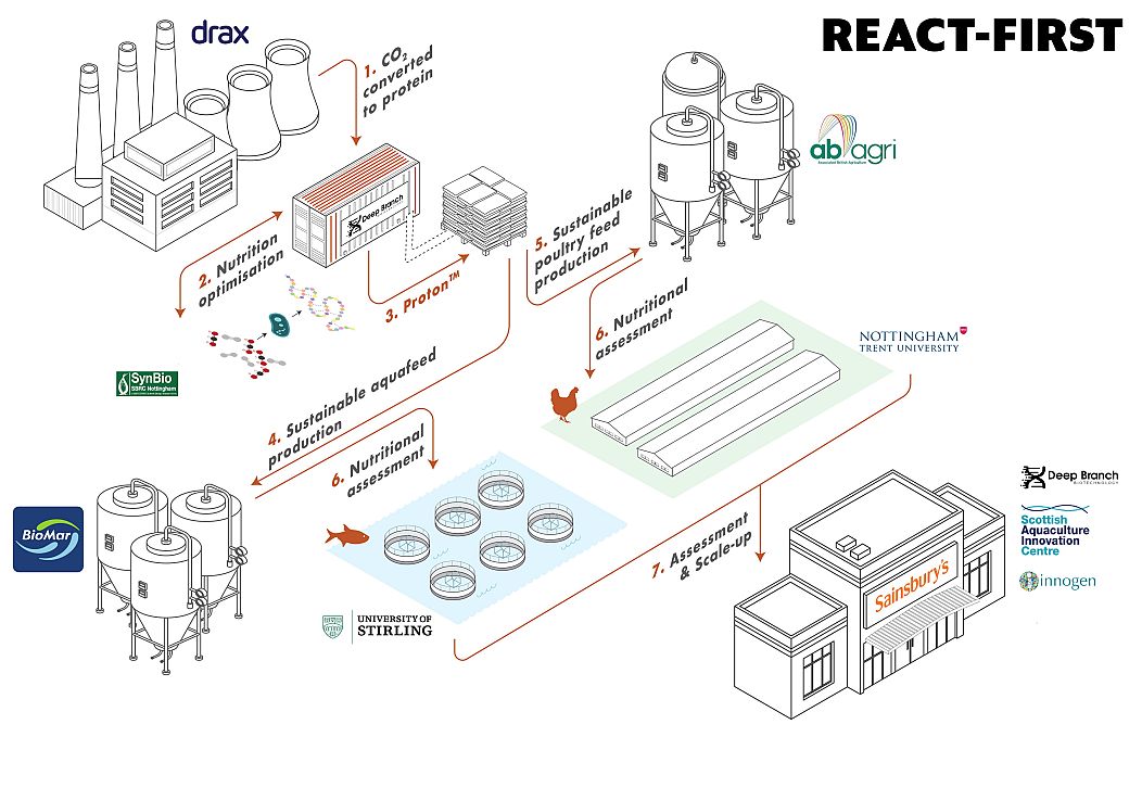 REACT-FIRST