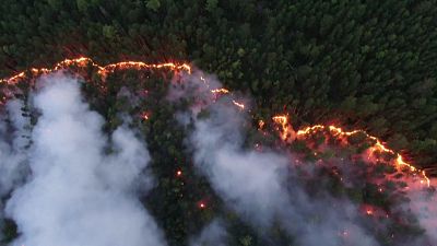 Лесные пожары бушуют в Сибири и на Дальнем Востоке