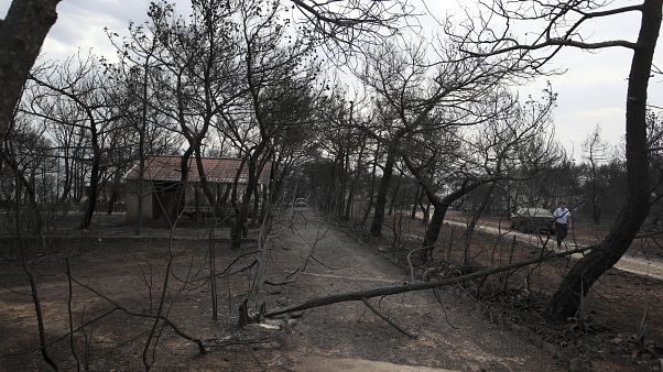 Burnt houses and trees are seen following a wildfire in Mati, east of Athens Burnt houses and trees are seen following a wildfire in Mati, east of Athens