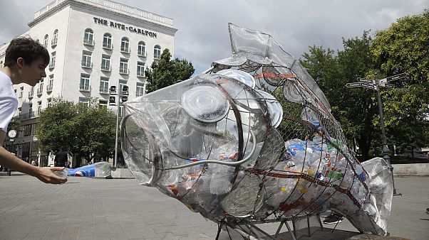 Greenpeace Greenpeace