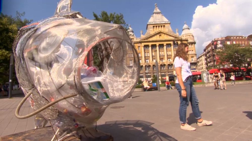 Plastique : l'urgence du recyclage en Hongrie