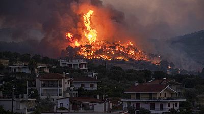 شاهد.. 250 رجل إطفاء و10 مروحيات لإطفاء حريق في غابة صنوبر باليونان