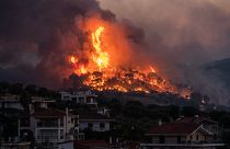 Fire burns near the village of Galataki near Corinth, Greece. July 22, 2020