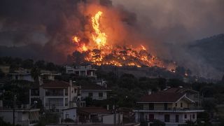 Yunanistan'da yangın