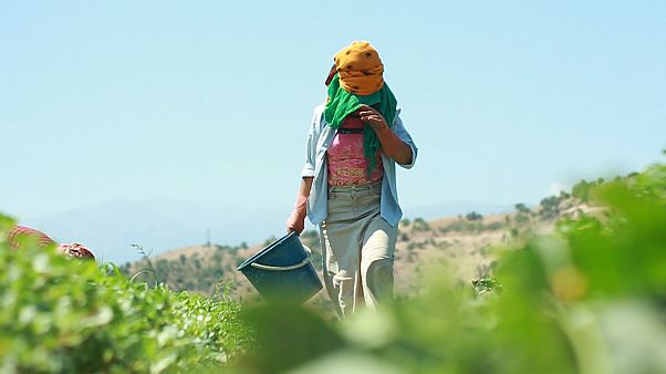 İzmir'de çalışan mevsimlik tarım işçileri İzmir'de çalışan mevsimlik tarım işçileri