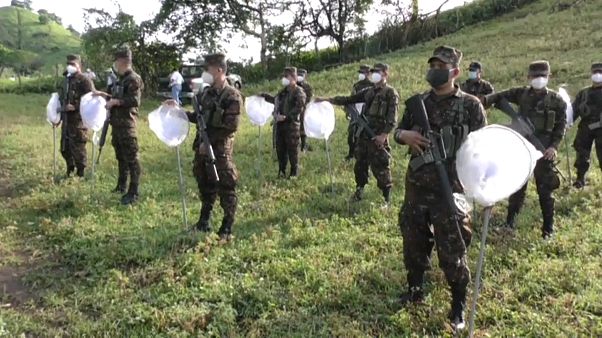 Un grupo de soldados recibe instrucciones antes de fumigar los campos Un grupo de soldados recibe instrucciones antes de fumigar los campos