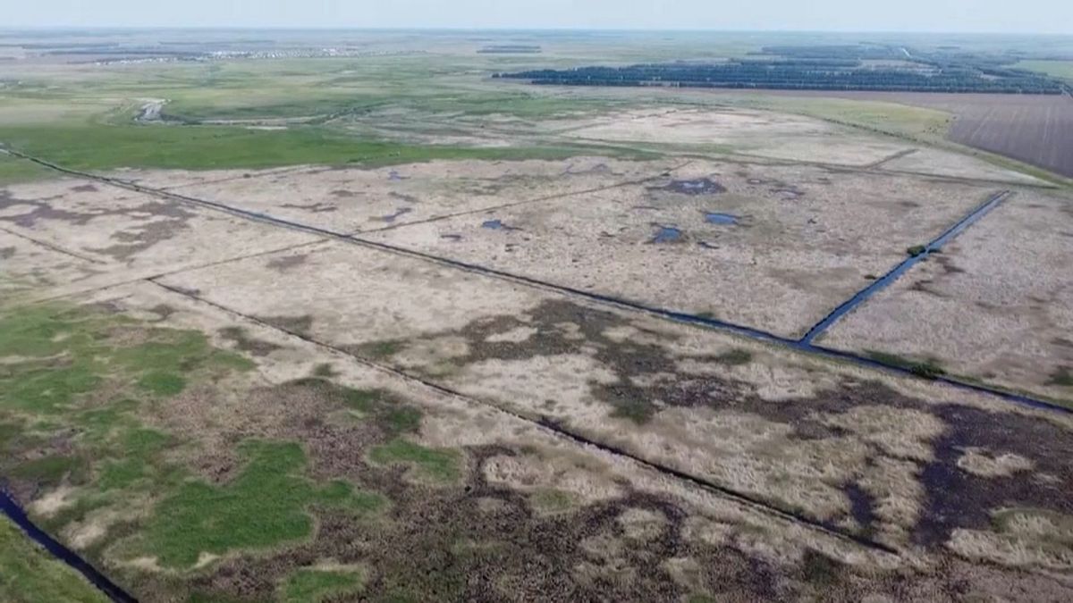 Засуха в Новосибирской области