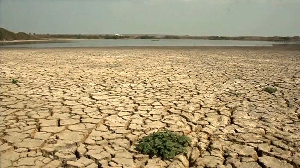 La lucha contra la pandemia, un modelo aplicable al cambio climático La lucha contra la pandemia, un modelo aplicable al cambio climático