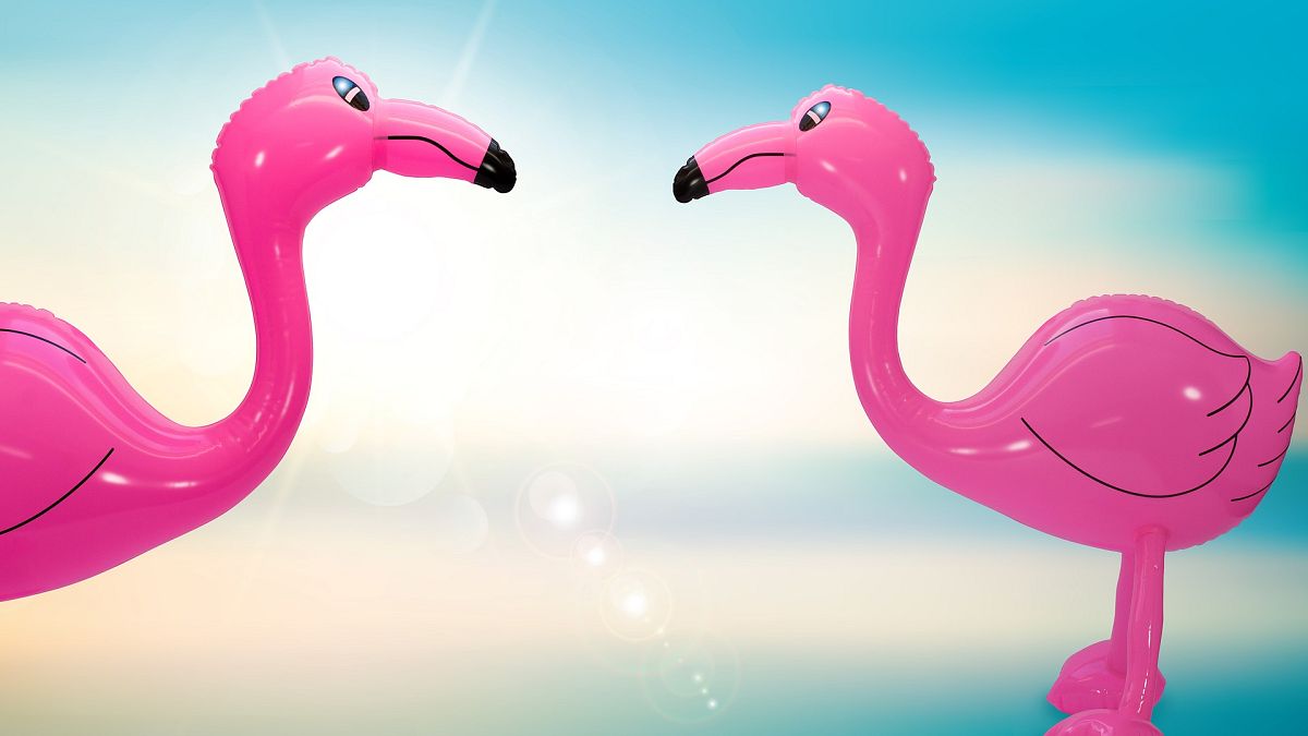 Auffälliges Diebesgut: In Frankreich hat sich ein Dieb durch den Kauf eines Aufblas-Flamingos mit einer gestohlenen Kreditkarte verraten.